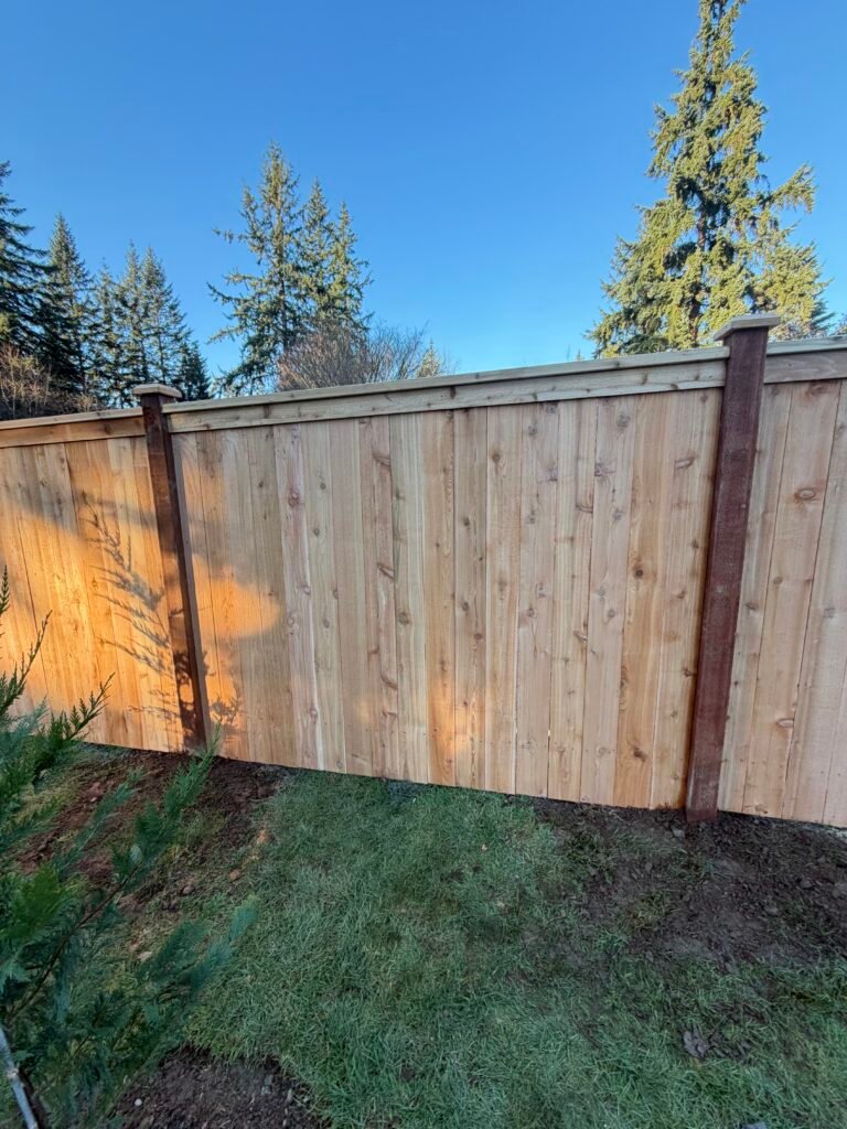 Cedar privacy fence with vertical boards, top trim and dark capped posts